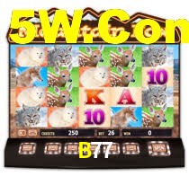 B77.Com